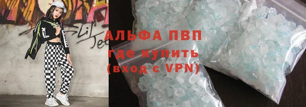 гашик Арсеньев