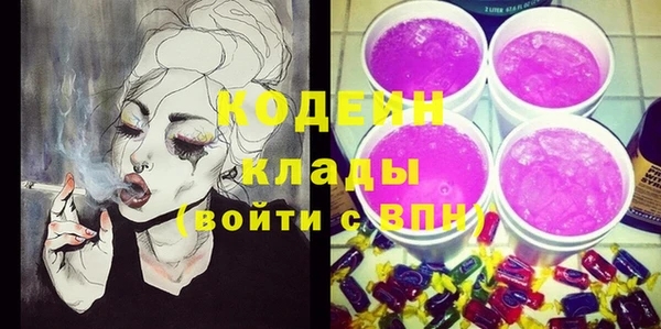 гашик Арсеньев