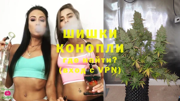 гашик Арсеньев