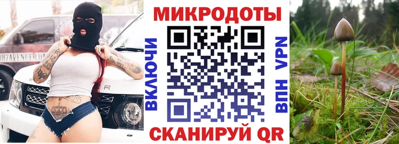 ссылка на мегу вход  Приморск  Галлюциногенные грибы Psilocybe 