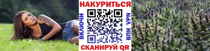 Канабис White Widow  mega   Приморск 
